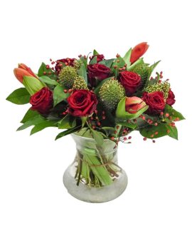 Amaryllis met Red Naomi Roos