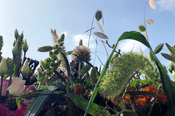 1-veldbloemen-FF-FlowersRme