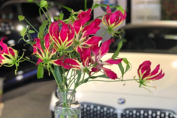 Classic Car Event Brasschaat Gloriosa Flowers by Frm