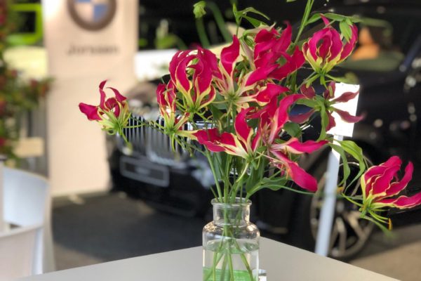 Classic Car Event Brasschaat met Flrm