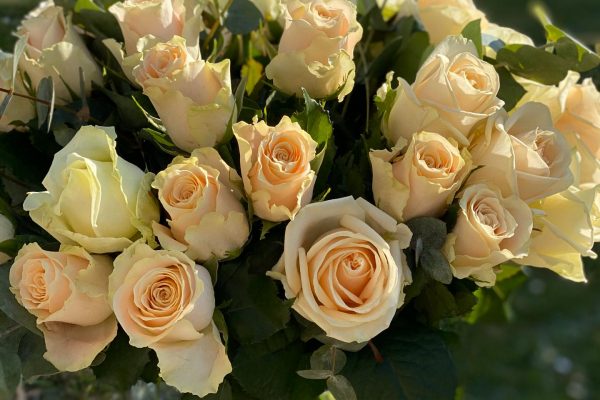 Dromerig rozen boeket FRM