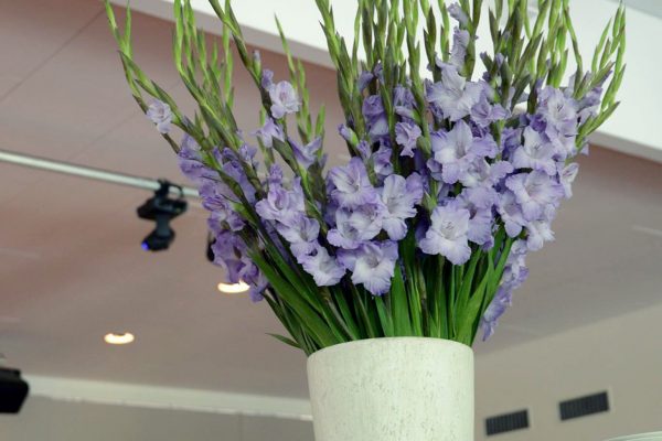 bloemenabonnement-8--FlowersRme