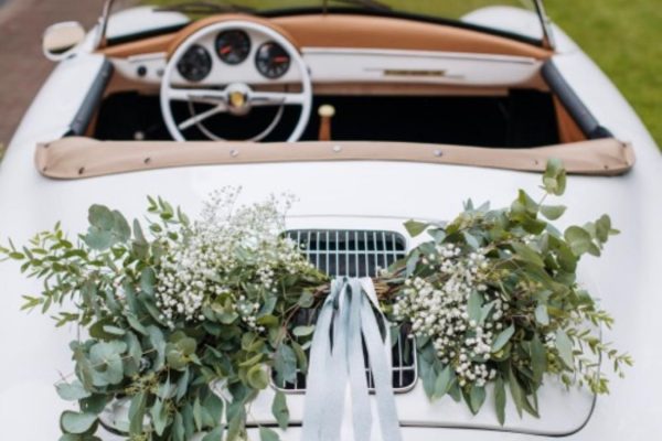 Eucalypthus autodecoratie FRM