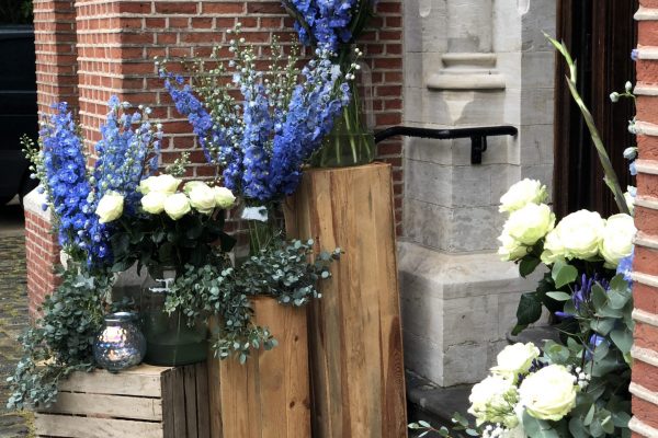 BLauwe bloemen