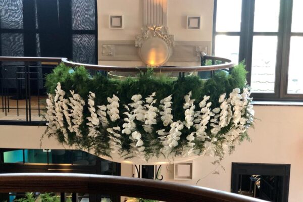 Orchideeën versieren het balkon