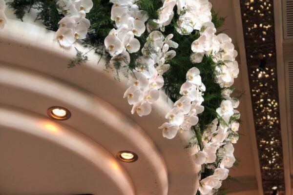 Orchideeën waterval