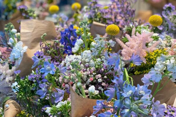 Veldbloemen FRM