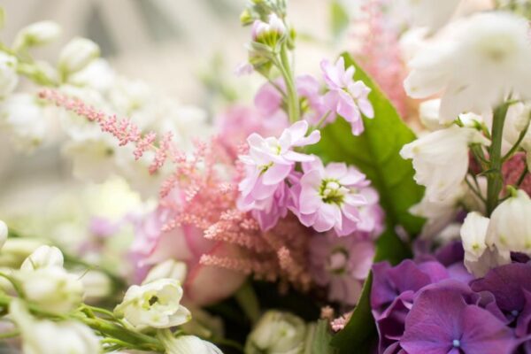 Weidebloemen FRM
