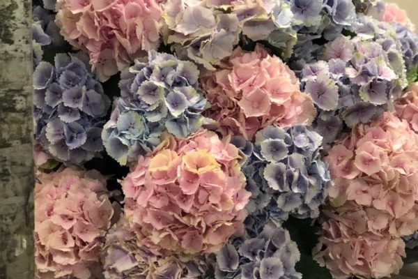Big Bouquet, groot bloemen boeket