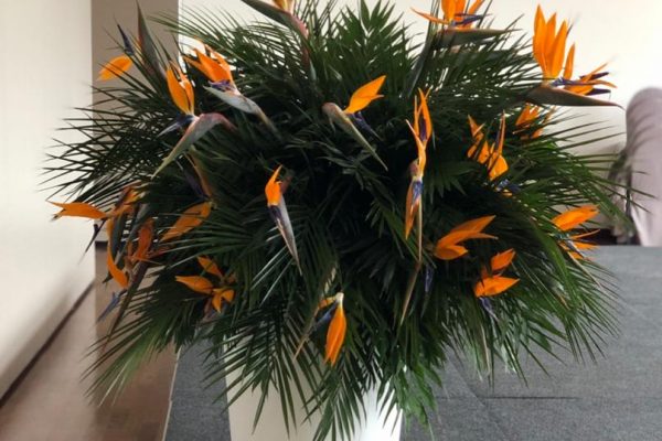 Big Bouquet, groot bloemen boeket
