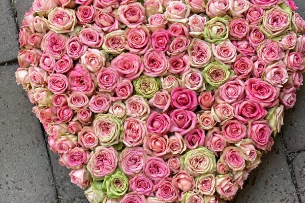 Variatie van een mooi rozen bloemenhart FRM