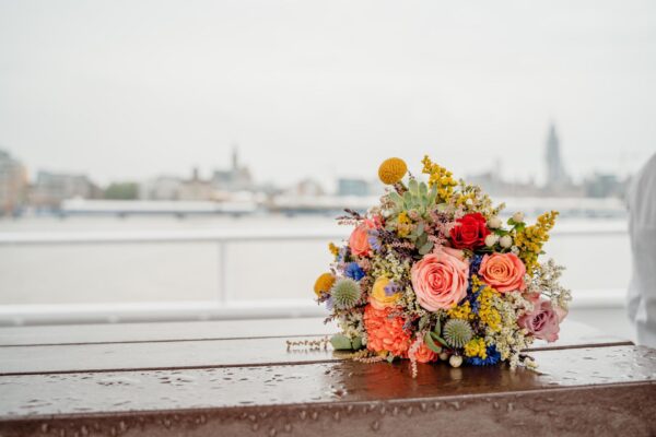 Boattrip field flowers FRM