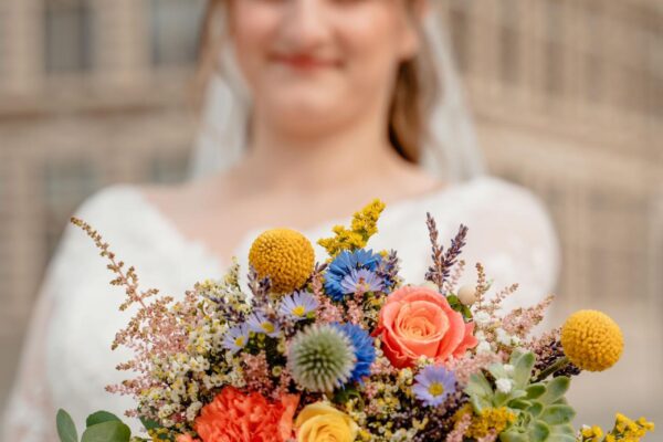Daniela field flowers FRM